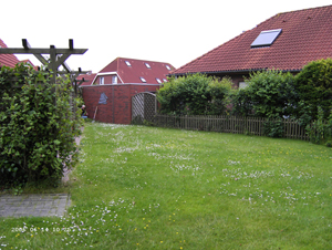 Gemeinschaftsgarten